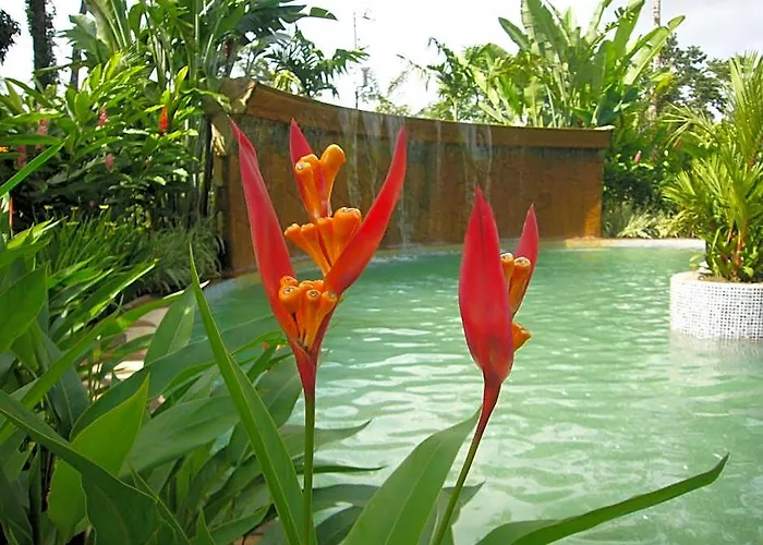 Blue River Resort & Hot Springs